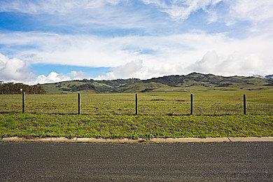 《师父》荣誉宣传片赏 全球销量突破100万份