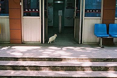 可爱像素风策略塔防《遗物守护者》现已开放Steam新品节试玩